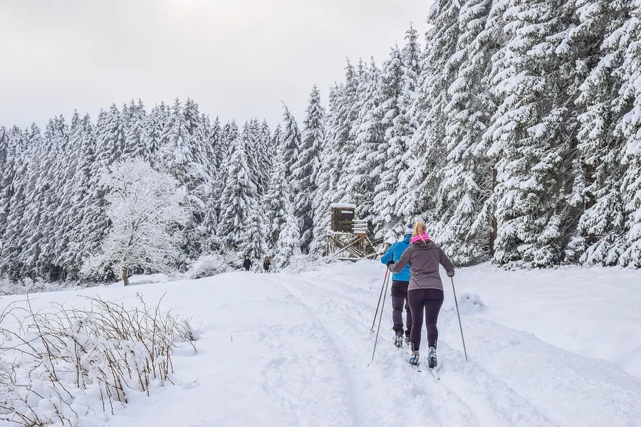 Due fondisti su un sentiero innevato nel bosco