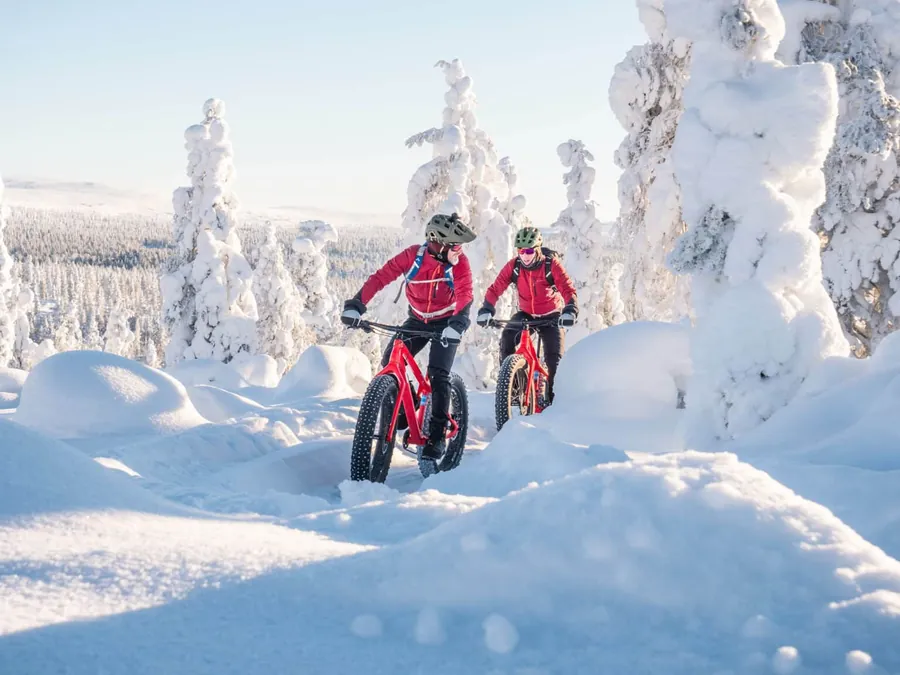 Due ciclisti su un sentiero innevato tra gli alberi