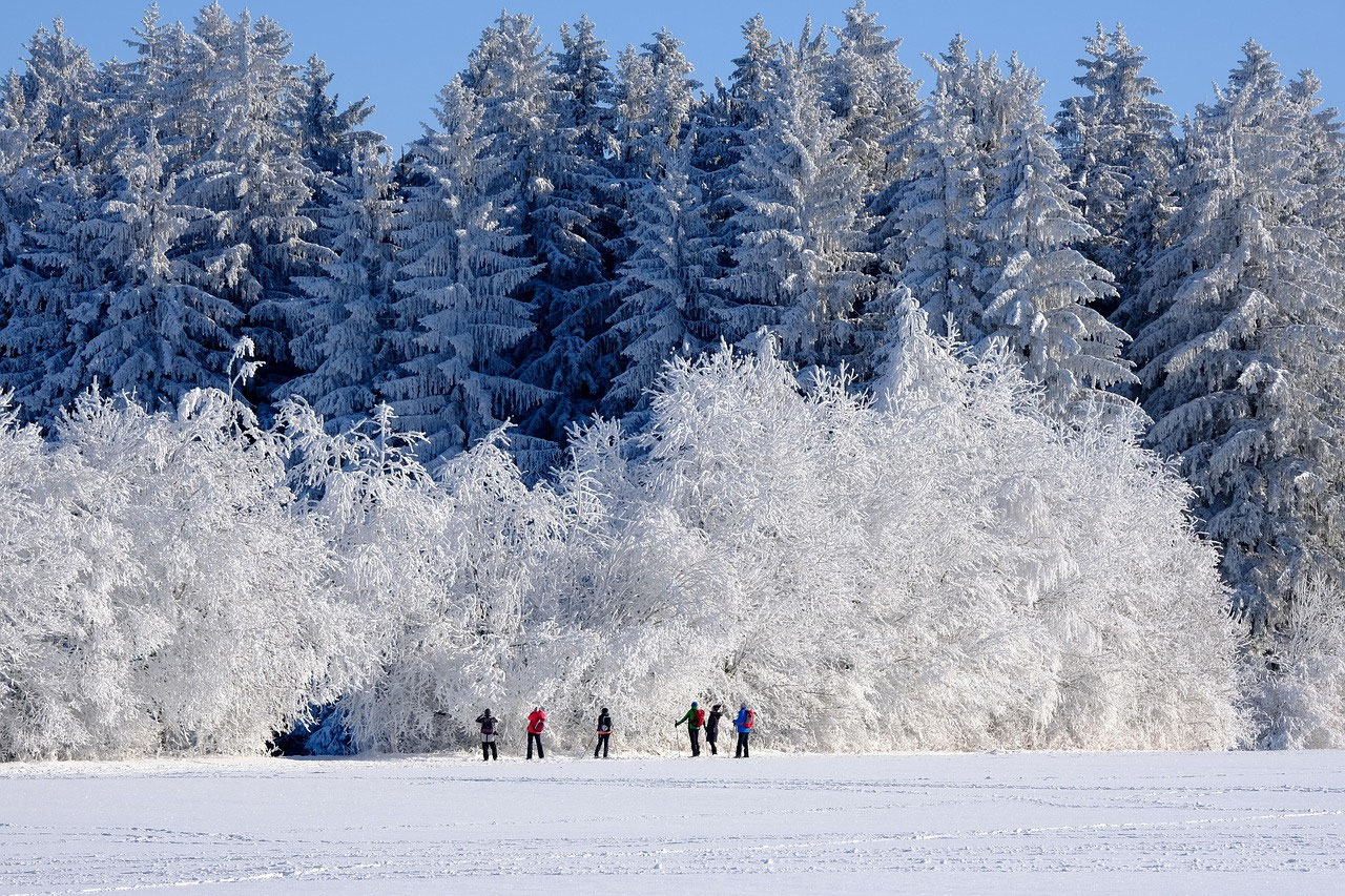 Lappland im Winter oder Frühling: Reisezeit, Licht und Kosten