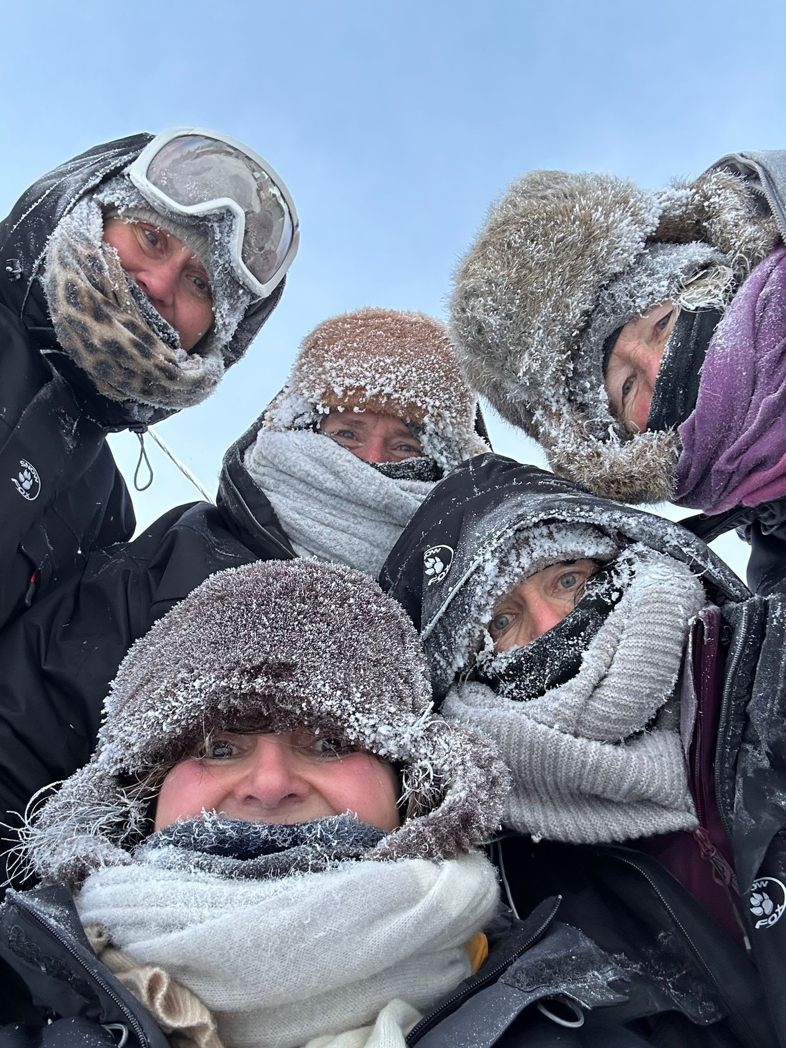 Lappland individuell oder Pauschalreise – was ist wirklich besser?