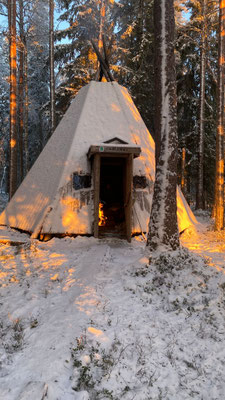 Sleigh ride and sledding