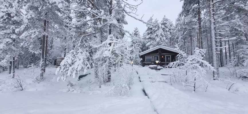 Arbres lourdement enneigés dans un paysage hivernal