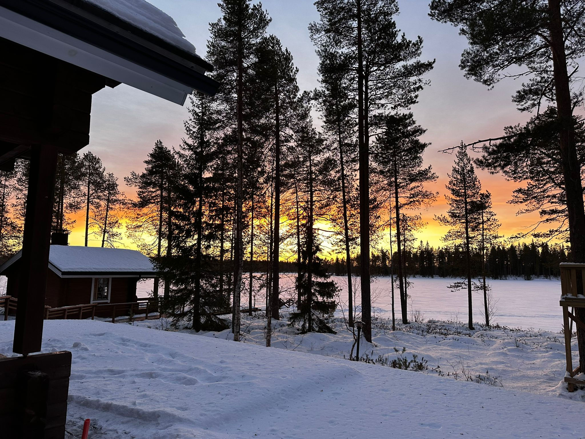 Lumière en hiver à Ranua : journées courtes et longs crépuscules