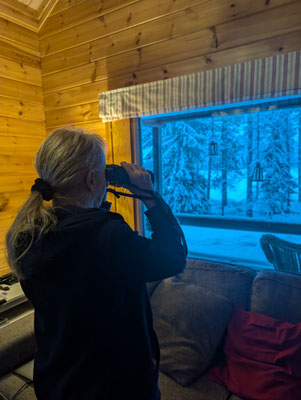 Lappland individuell oder Pauschalreise – was ist wirklich besser?