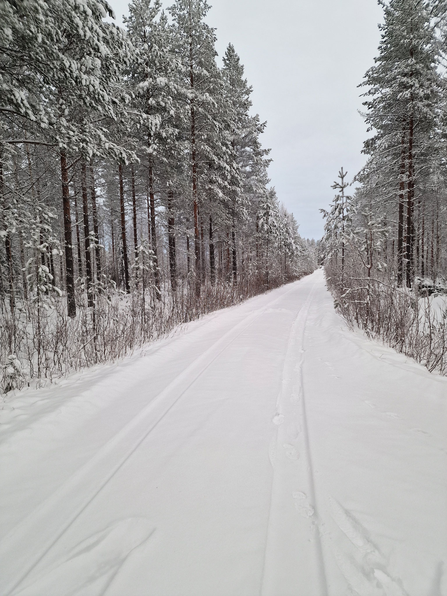 Mökki Tikka : une maison privée au bord du lac en Laponie