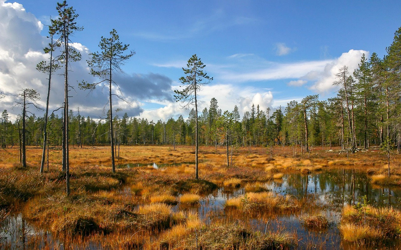 Suolla liikkuminen Lapissa – pehmeä maa ja turvallinen reitti