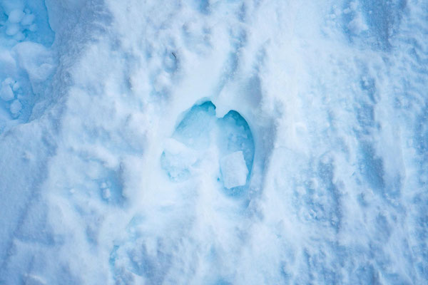 Tiefer zweiteiliger Hufabdruck im bläulichen Schnee