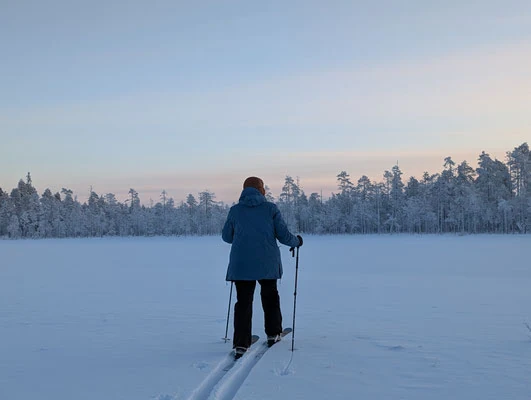 Lappland individuell oder Pauschalreise – was ist wirklich besser?