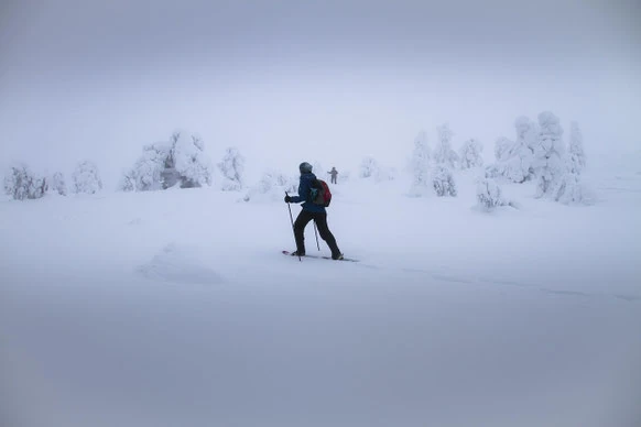 Snowshoeing around Ranua and Impiö