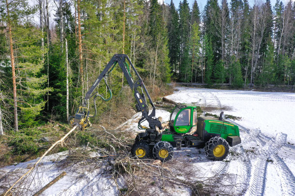 Máquina forestal trabajando entre árboles junto a la carretera