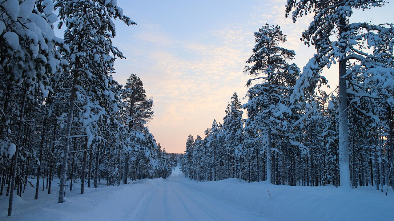 Anreise nach Lappland im Winter: Flug, Mietwagen und sichere Routen nach Ranua & Rovaniemi