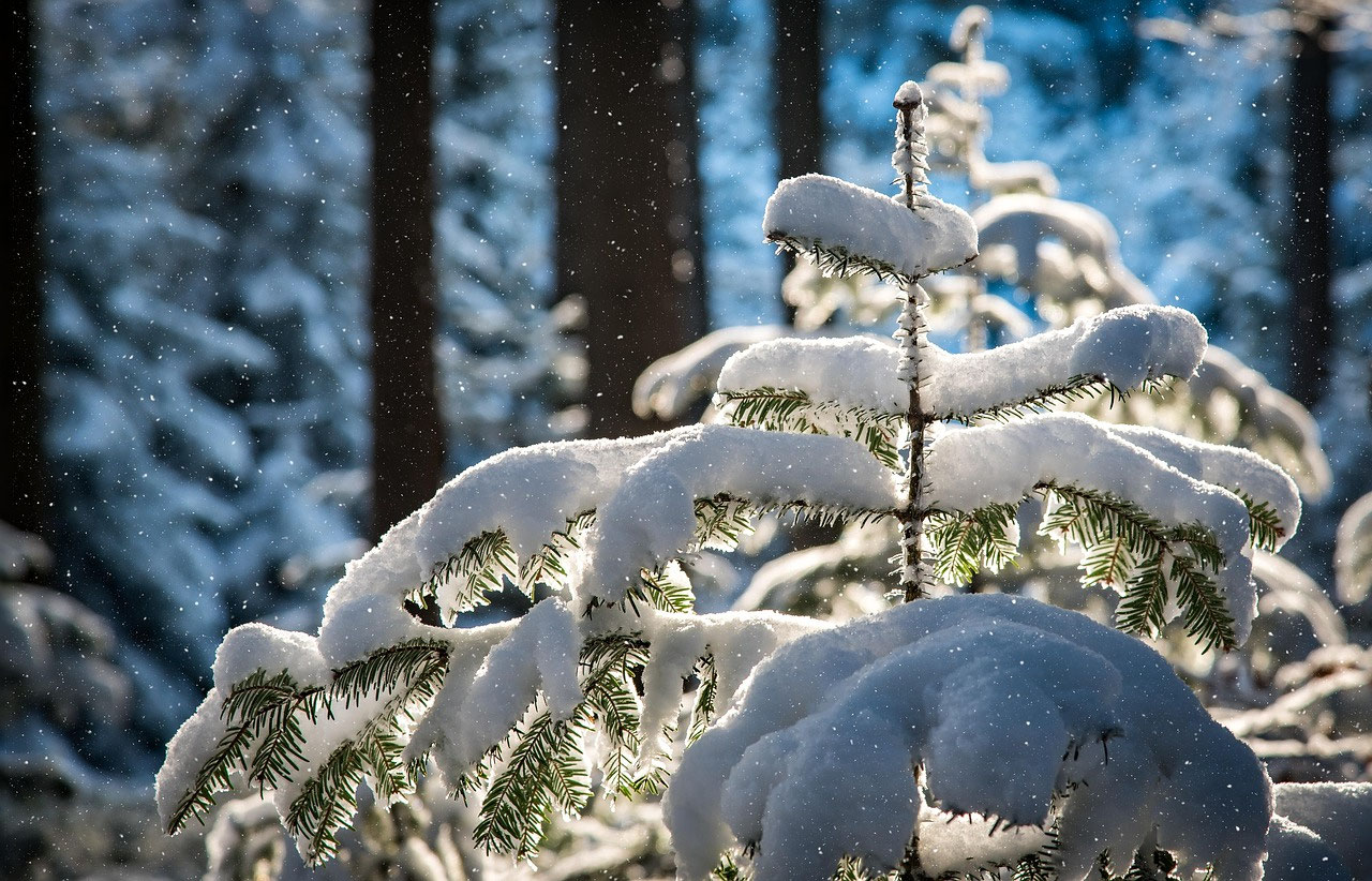 Wann schneit es in Finnland? Zehn Fragen zur Winterreise