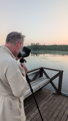 Observation des oiseaux en Laponie