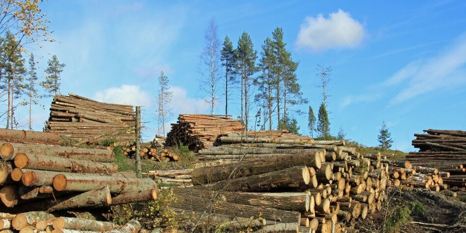 Elämää Ranualla – matkailu, yrittäjyys ja paikallinen energia