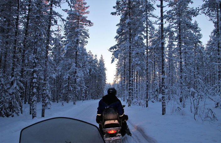 Recorrido en moto de nieve por un sendero nevado del bosque