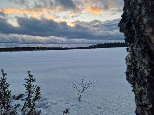 Cielo nublado sobre un lago helado junto al bosque