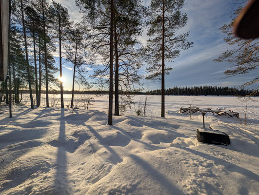 Soleil et ombres d’arbres sur la rive enneigée