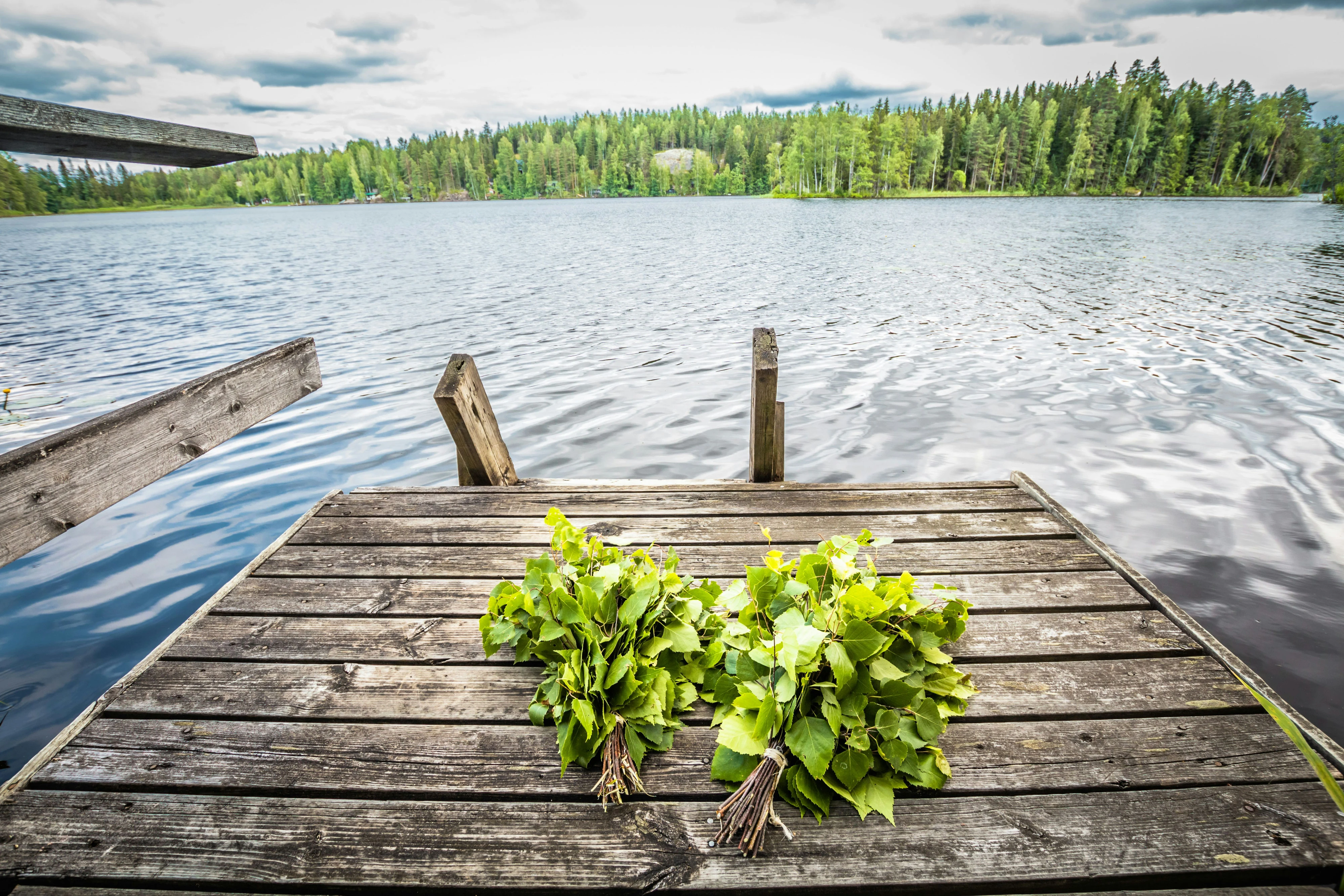 Saunavihta – koivunoksien sitominen, käyttö ja säilytys