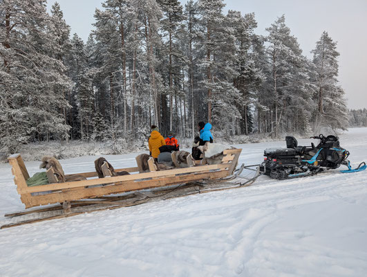 Sleigh ride and sledding