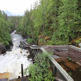Pasarela de madera junto a un río impetuoso en el bosque
