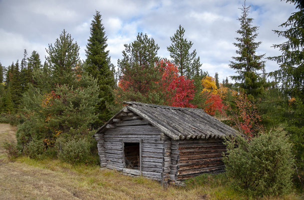 Autumn in Lapland: ruska colours and quiet days