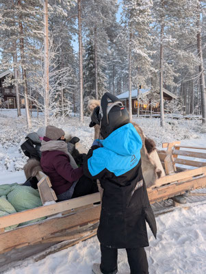 Sleigh ride and sledding
