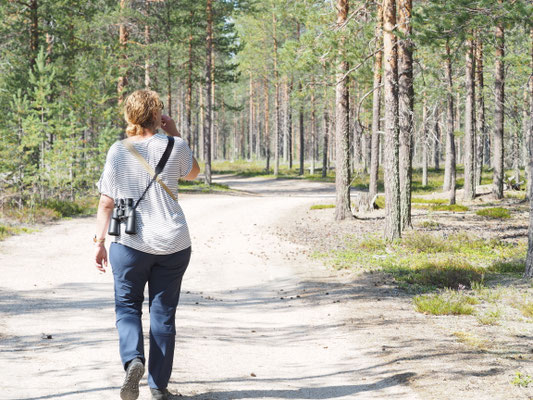 Personne sur un sentier forestier parmi les pins
