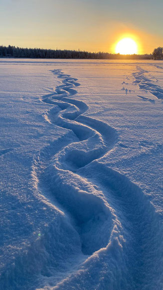 View of Koirajärvi at 2 pm on the shortest day of 2024