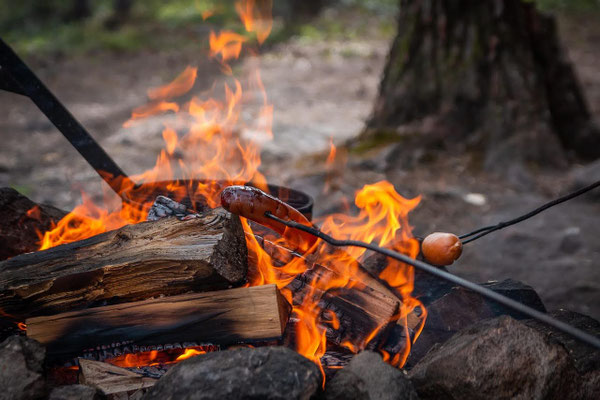 Bûches brûlant dans un foyer en forêt