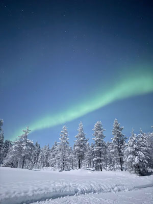 Vihreä revontulikaari lumisten puiden yllä