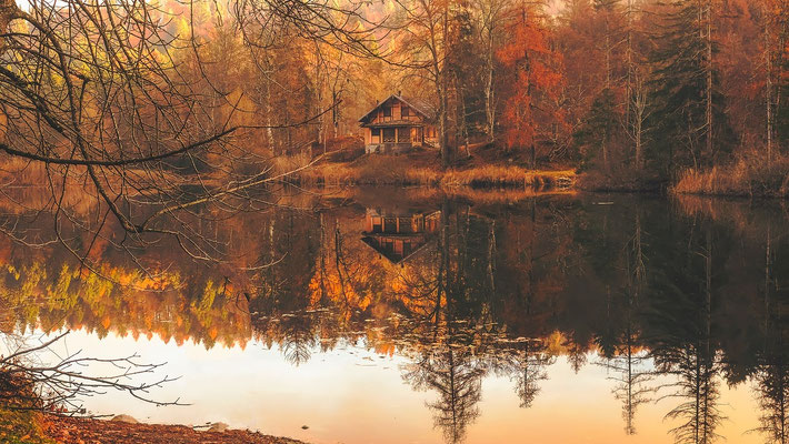 Herbst in Lappland: Ruska, Nordlichter und ruhige Tage
