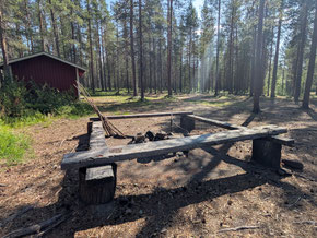 Puupenkkejä metsän tulipaikan ympärillä