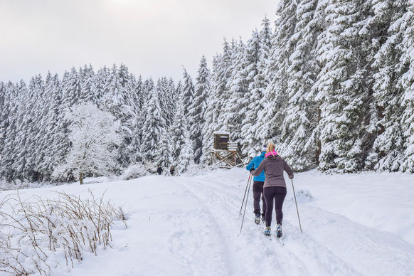 Ski de fond et randonnée nordique autour de Ranua