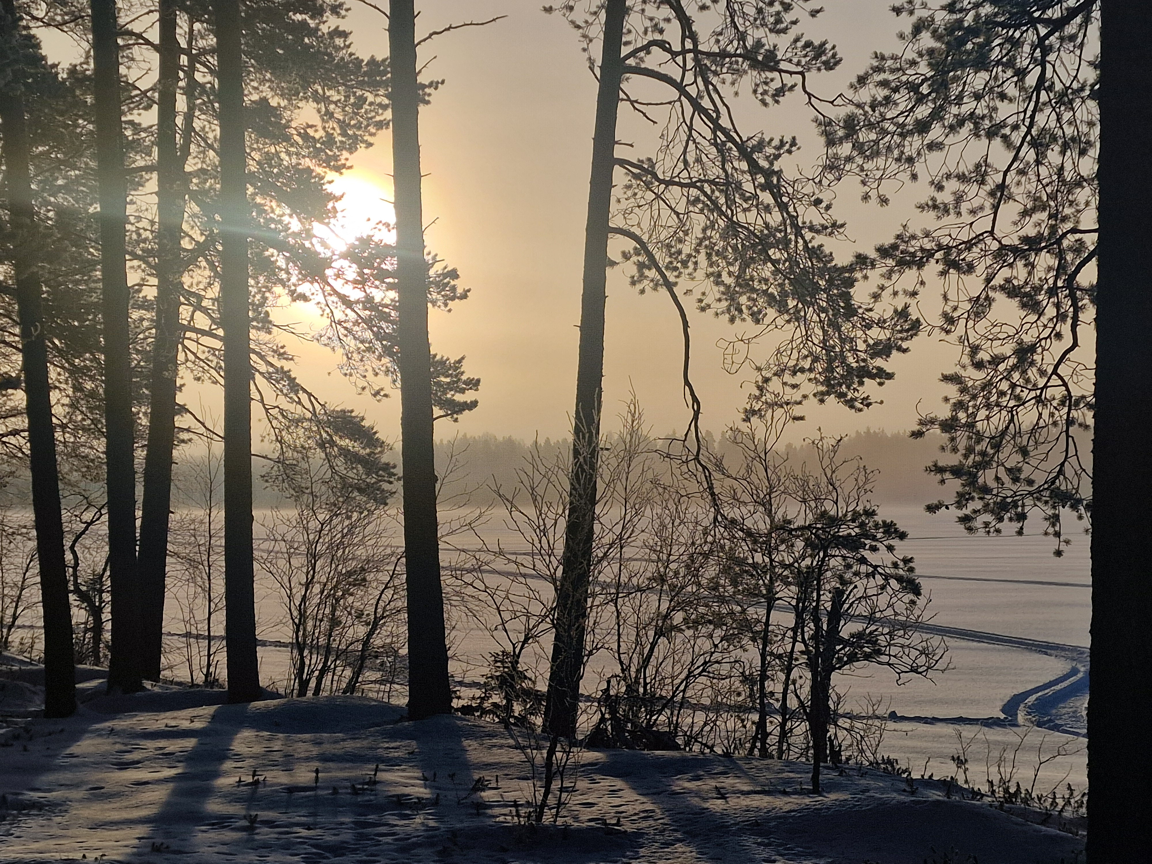 Nachhaltig reisen in Lappland: Was echter Umweltschutz im Norden bedeutet