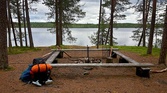 Zona de descanso con bancos entre pinos junto al lago