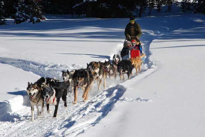 Huskyretket Ranuan seudulla