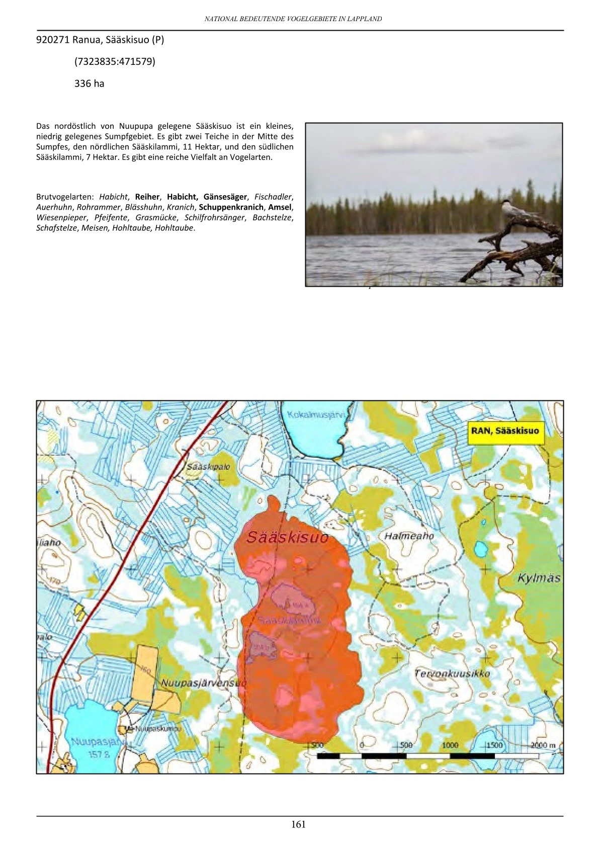 Vogelbeobachtung in Lappland – seltene Arten rund um Ranua, Rovaniemi, Oulu, Simojärvi & Syöte