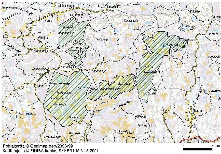Vogelbeobachtung in Lappland – seltene Arten rund um Ranua, Rovaniemi, Oulu, Simojärvi & Syöte