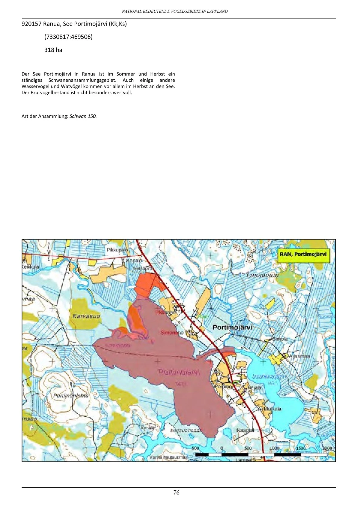 Vogelbeobachtung in Lappland – seltene Arten rund um Ranua, Rovaniemi, Oulu, Simojärvi & Syöte