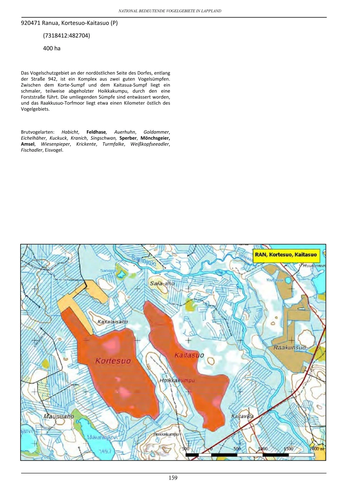 Vogelbeobachtung in Lappland – seltene Arten rund um Ranua, Rovaniemi, Oulu, Simojärvi & Syöte