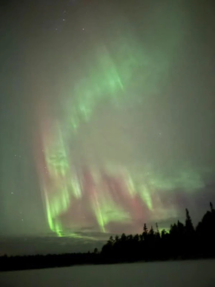 Grüne und violette Nordlichter über dem dunklen Seeufer