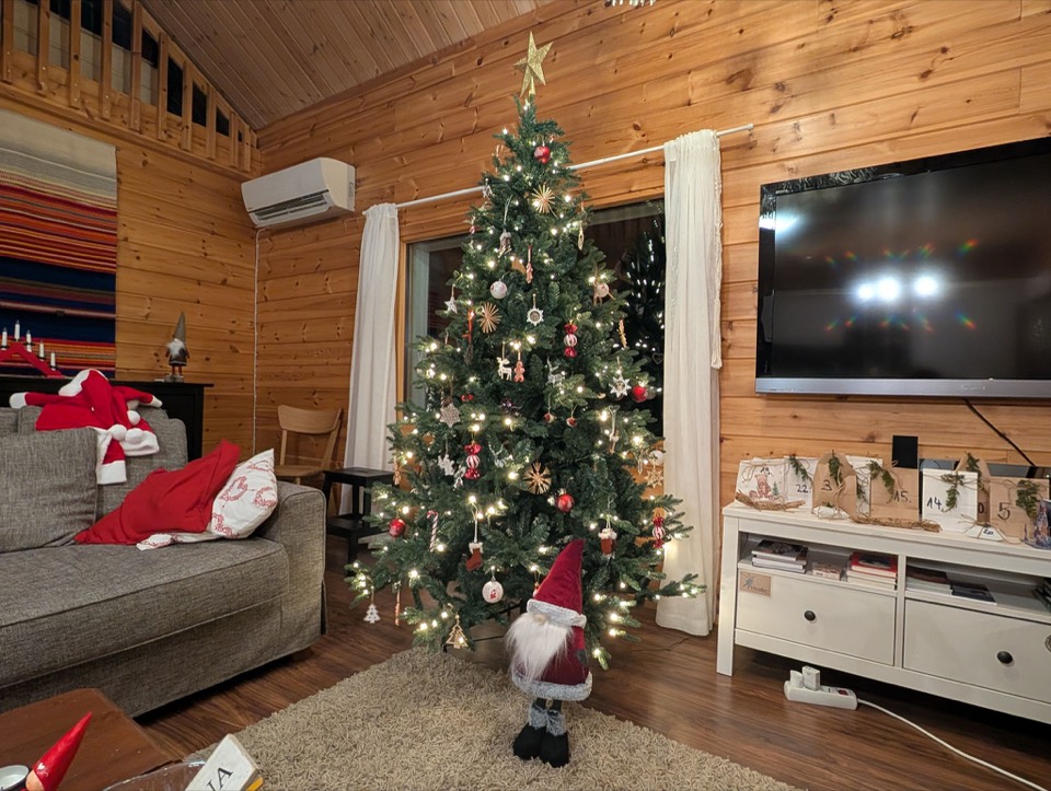 Wohnzimmer mit Sofa, Fernseher und geschmücktem Weihnachtsbaum