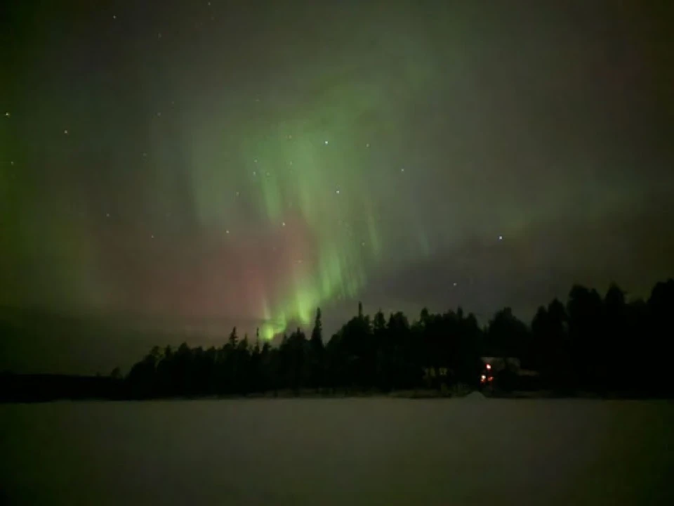 Nordlichter über dem See und der Silhouette des Waldes
