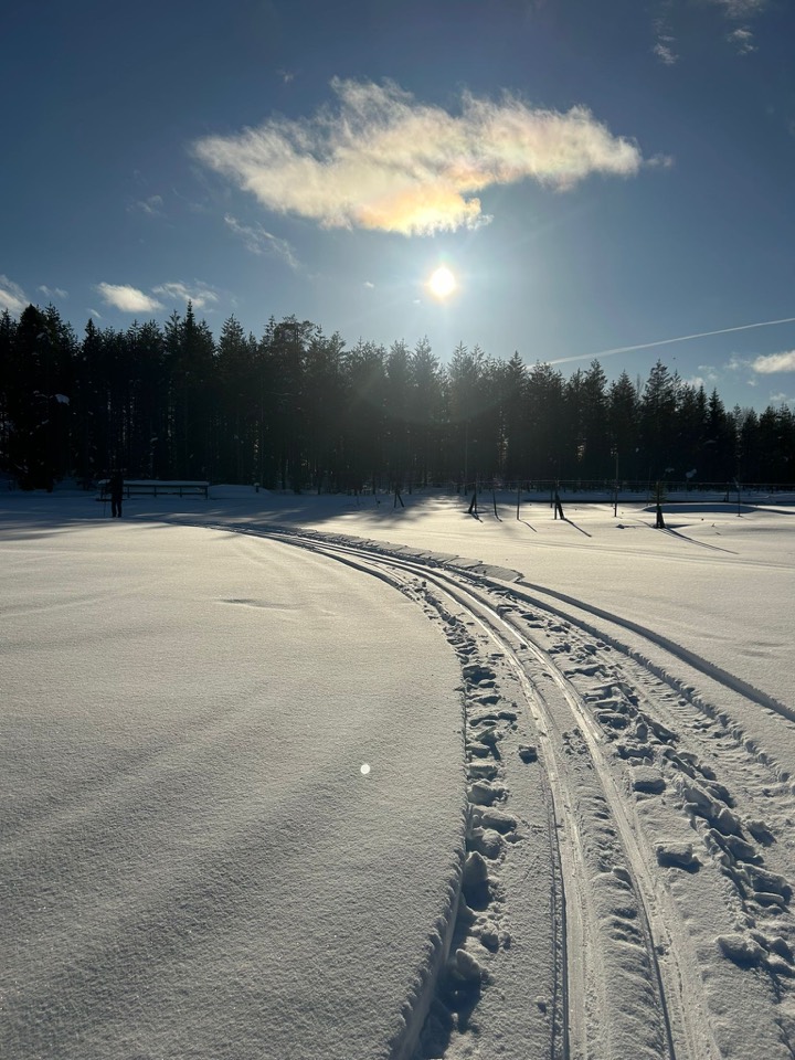 Tiefe Sonne über Spuren in der verschneiten Landschaft